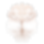 White Letters.png
