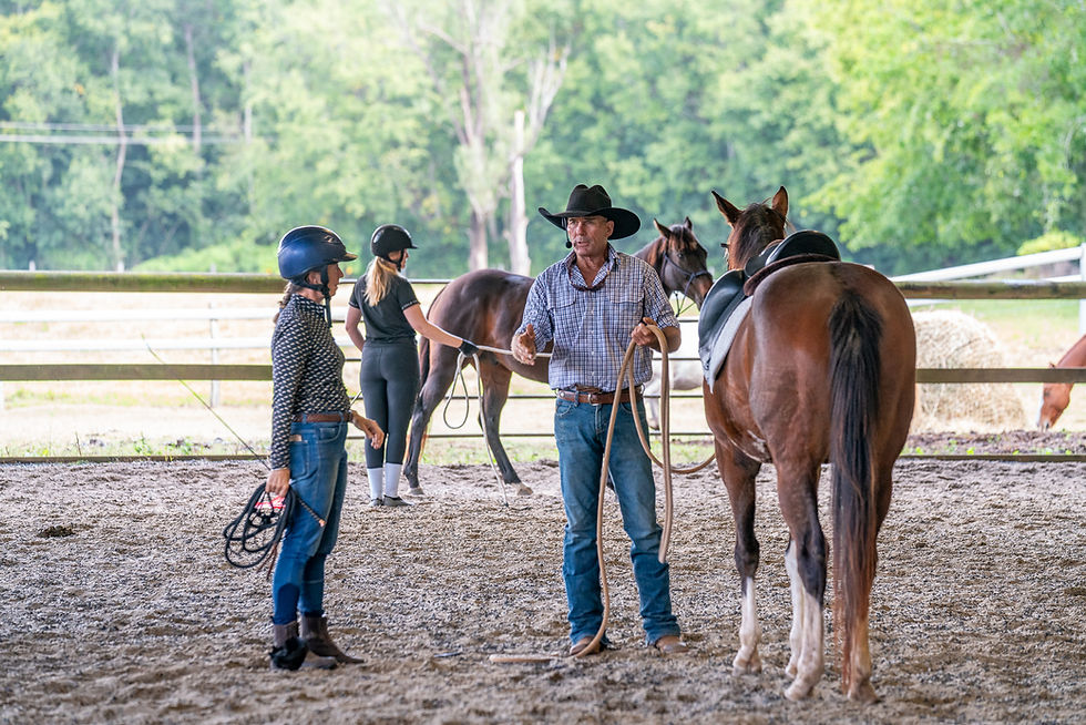 Natural horsemanship leadership workshop for corporate teams