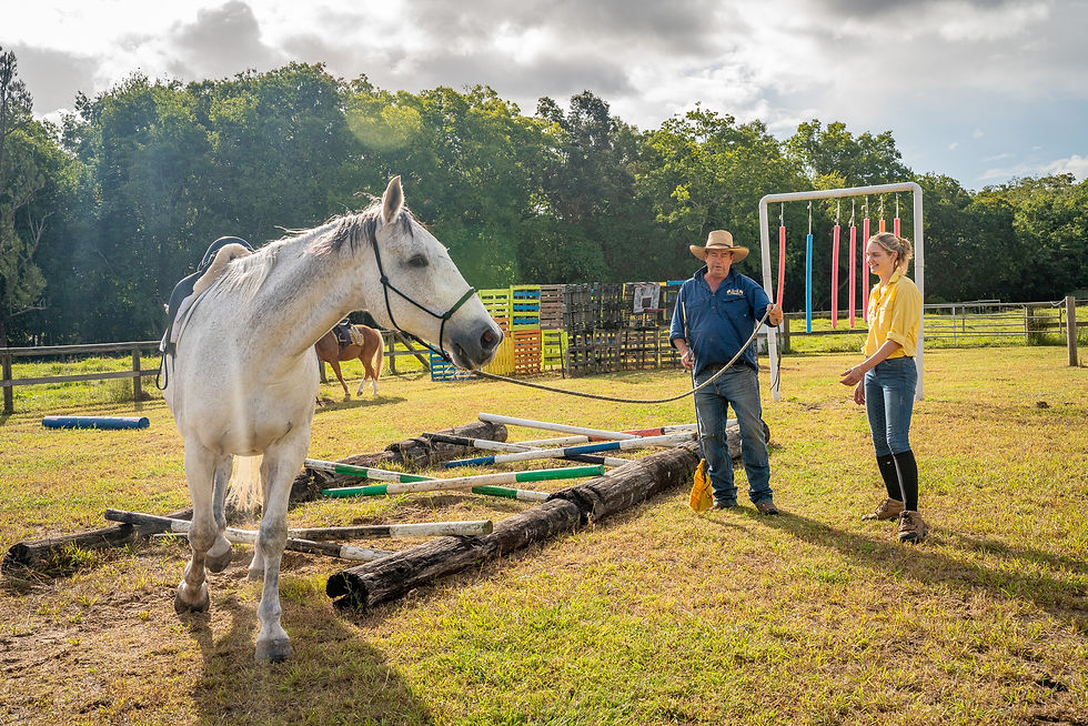 Confidence Camp - Confidence and relationship building with your horse