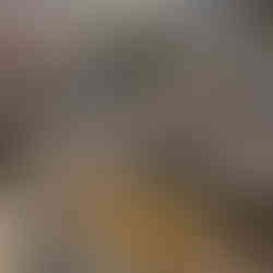 Interior vignettes that feel like home. Hamptons Avenue curates not just products, but moments — the