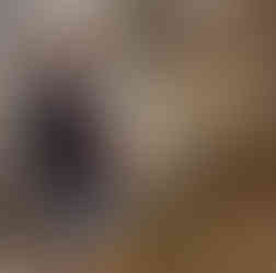 The beauty of small business? Every shelf, every vignette, every product is a decision made with pur