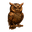 Writer: The Ember Owl