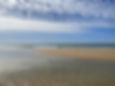 IMG_2419.jpeg