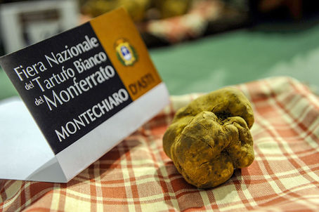 Fiera Nazionale del Tartufo Bianco