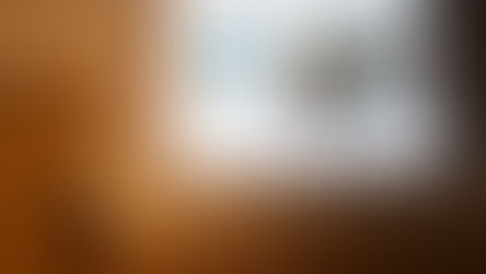 Red de Museos Aysén en Conferencia ICOM Kyoto 2019