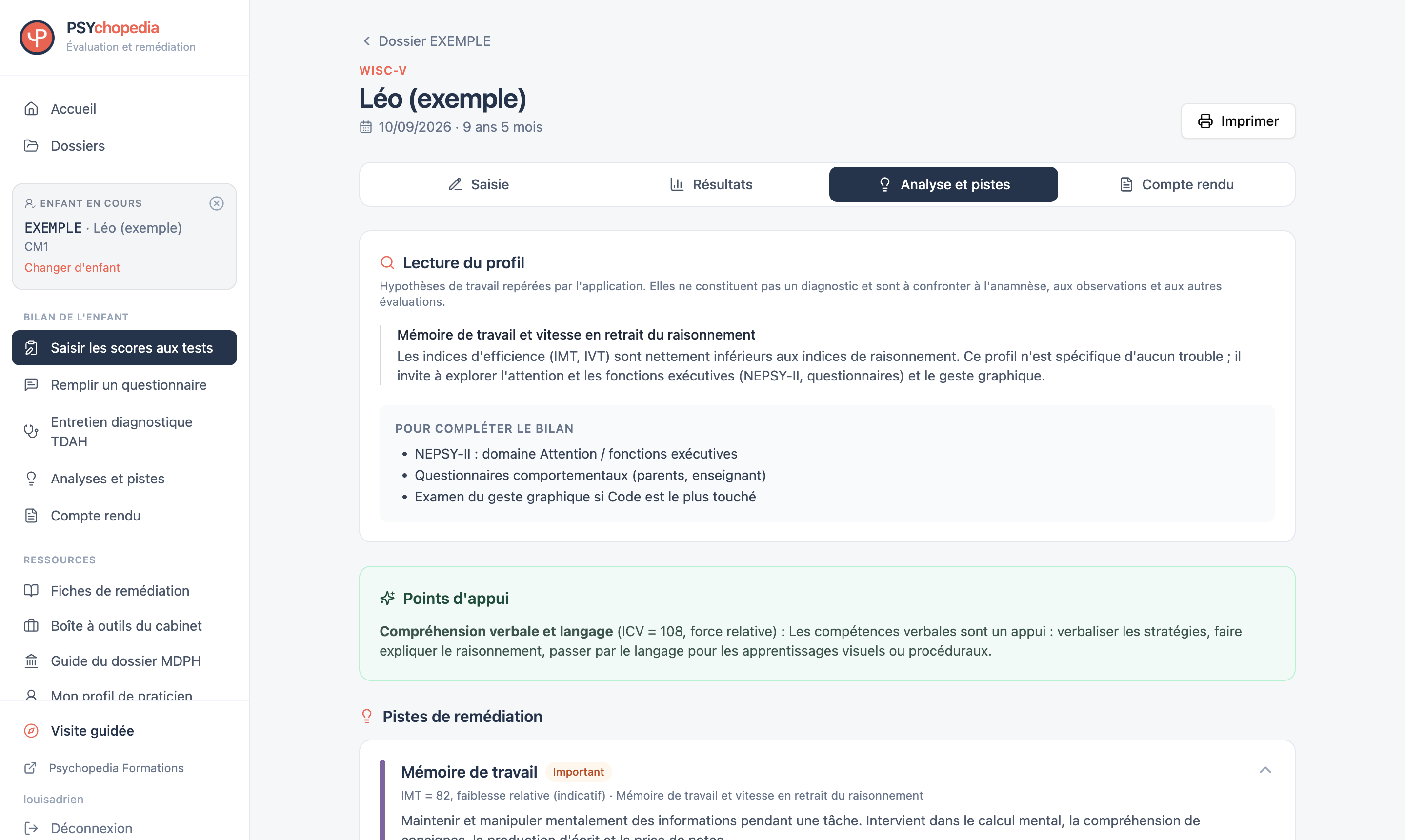 Analyse et pistes dans l’application PSYchopedia — dossier fictif de démonstration