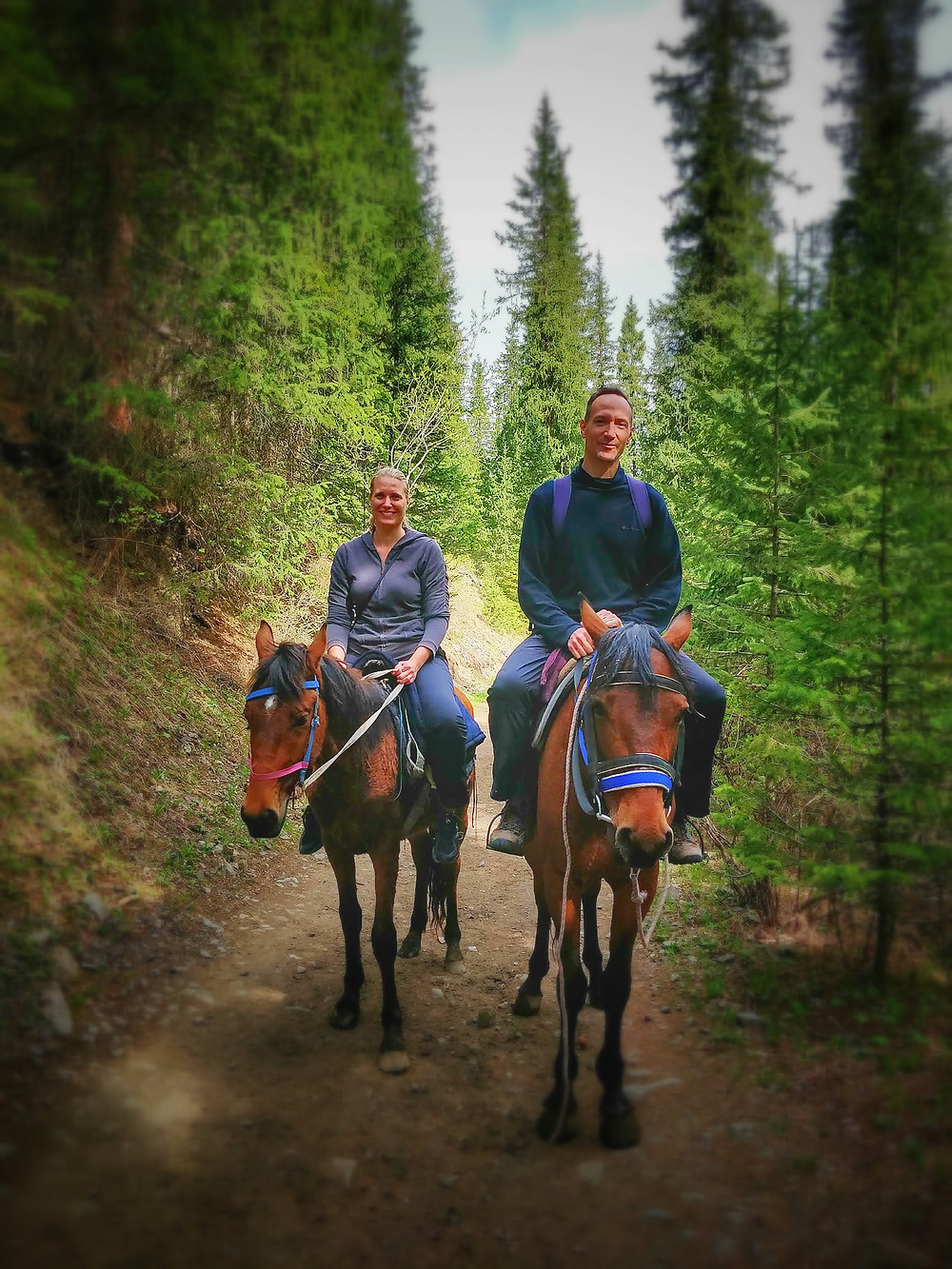 The best way to travel the steppe