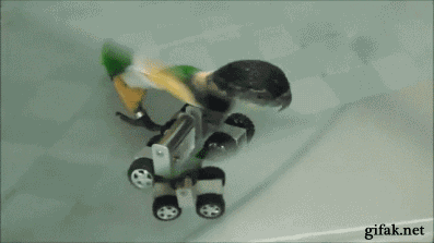 roller AGF8.gif