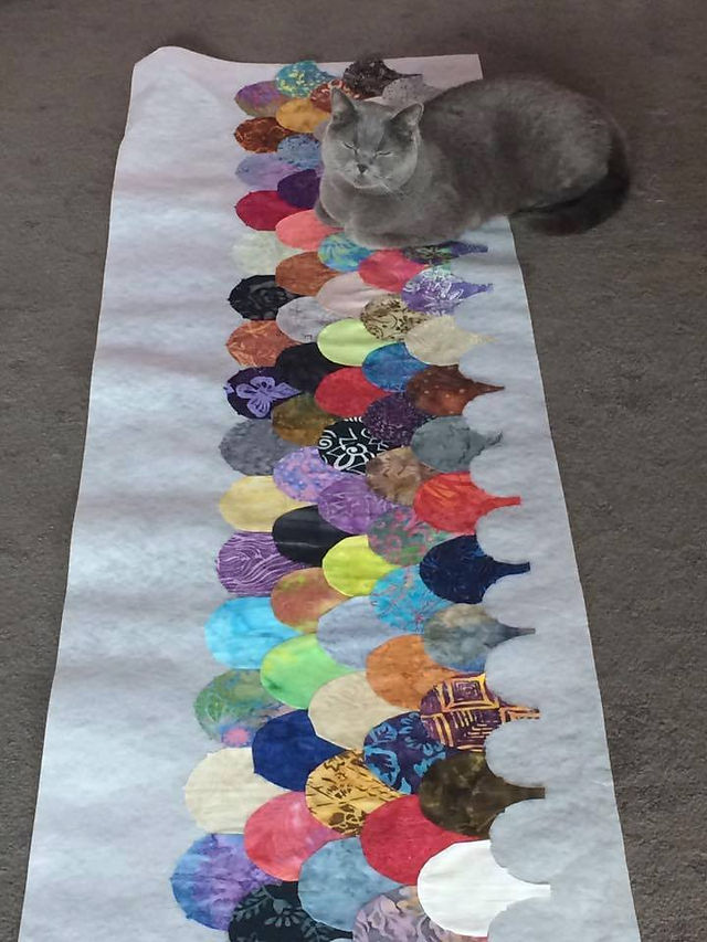 14937249_10210571462504090_2893168810763938664_n