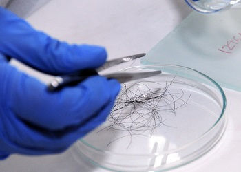 забор материала для спектрального анализа