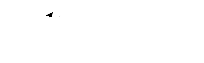 logo salonaHahonico