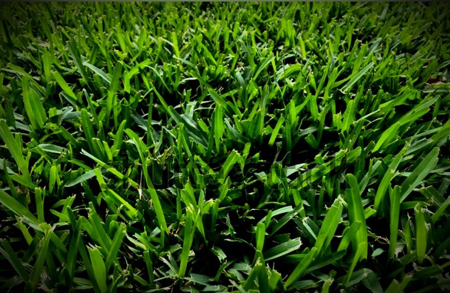 st augustine__edited_edited.jpg