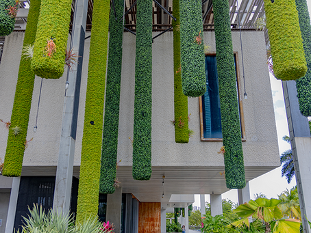 Miami Art Week at Pérez Art Museum Miami: A Celebration of Creativity & Culture