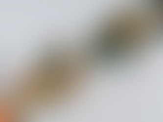 Miami DDA Funds 25 Creative Projects to Activate Downtown Public Spaces