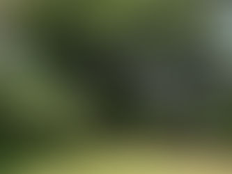 Season Opener at the Garden: Jazz in the Jungle, New Exhibition, and Botanical Boutique Reopening