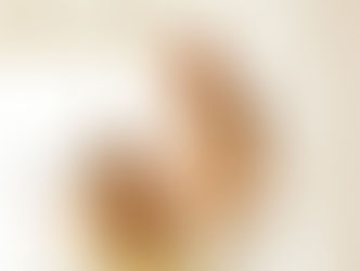 The New Reality of Florida Homeownership: Why OMNIO Is Redefining the Future