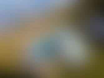 Your Dream Vacation in Paradise: The New Viva Miches by Wyndham Offers a Luxury Stay in the Dominican Republic