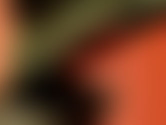 Gucci Spring/Summer 2025 Fashion Show: A Bold Vision of Eclectic Elegance