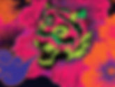 Luminance Presents: Prymal Rhythm