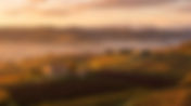 Valpolicella Explained: Geography, Terroir, and Top Amarone Wines