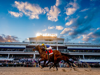 Pegasus World Cup Marks 10th Anniversary With Racing, Music, and $5.7 Million in Purses