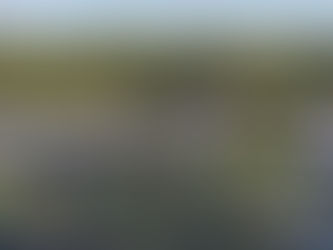 Miami Music Project Students Earn Full-Tuition Scholarships to Complete High School at Interlochen Arts Academy