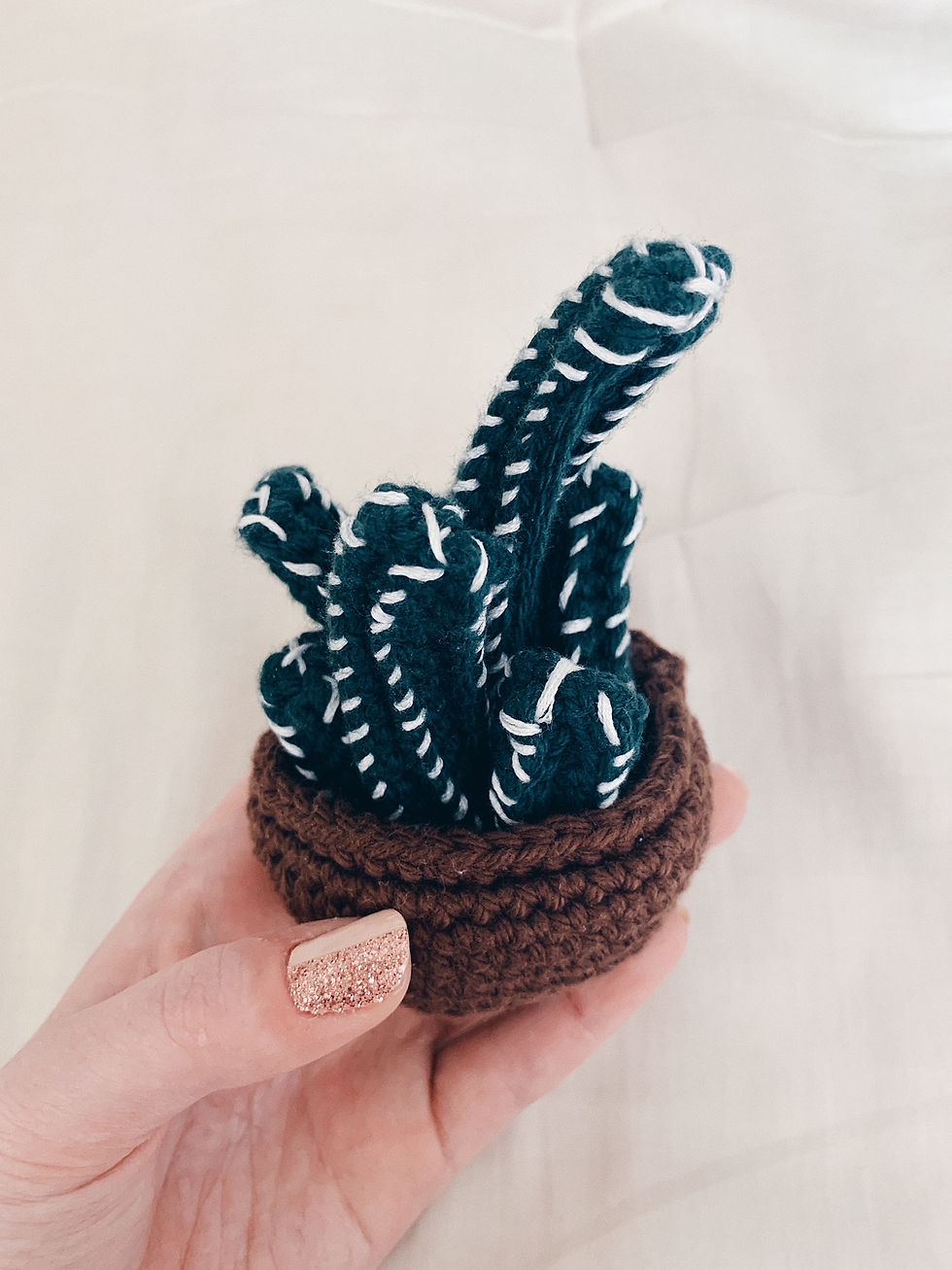 Fairy Castle Cactus