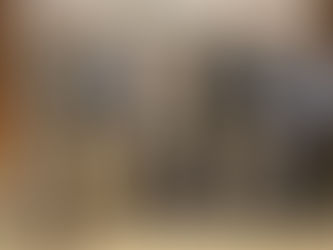 DeWitt FFA Takes on the National Western Stock Show!