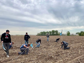 Learning Lab will Grow Soybeans