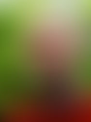 A-dieu à Charles Delhez