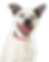 z7.png