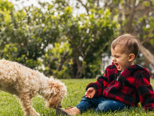 Summer Lawn Care in Riverside CA: Why Short Grass Matters
