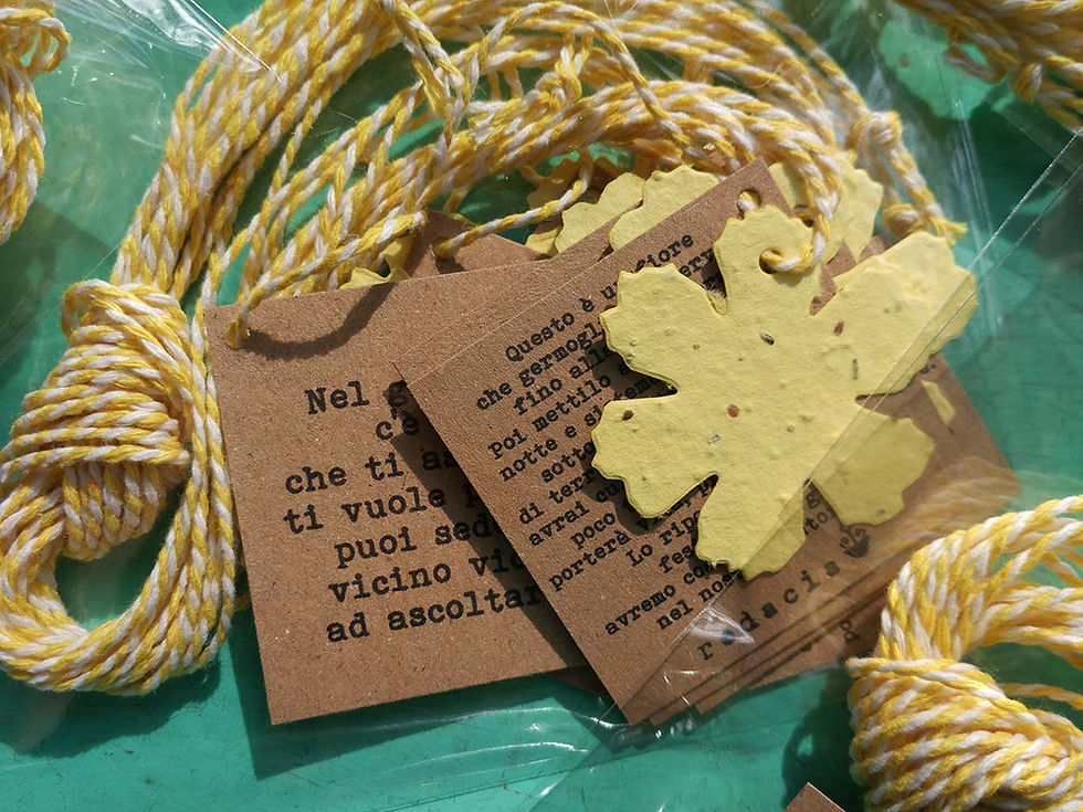 Miniatura: BOX COLF1 Collana sagome piantabili fiore, cuore, stella a scelta