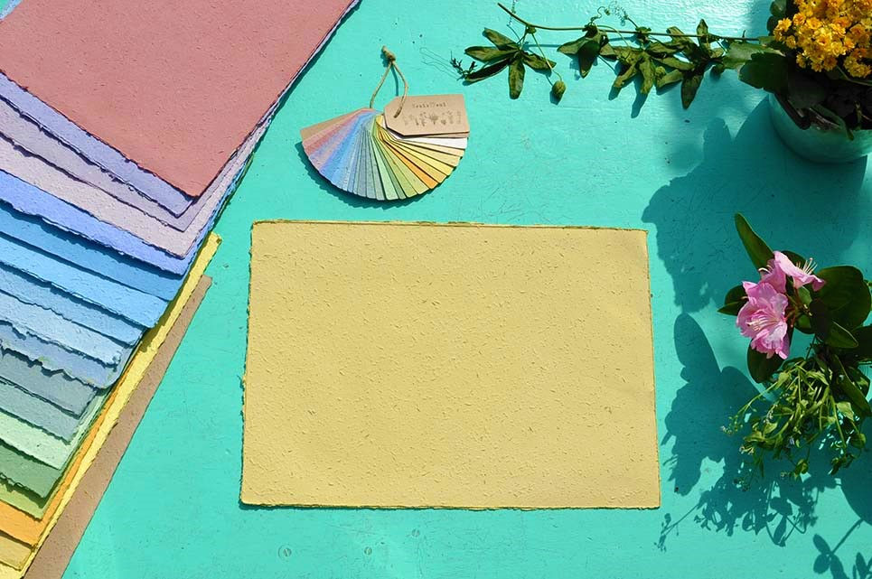Miniatura: FOGLI Carta Piantabile Gialla con CAMOMILLA E MARGHERITA