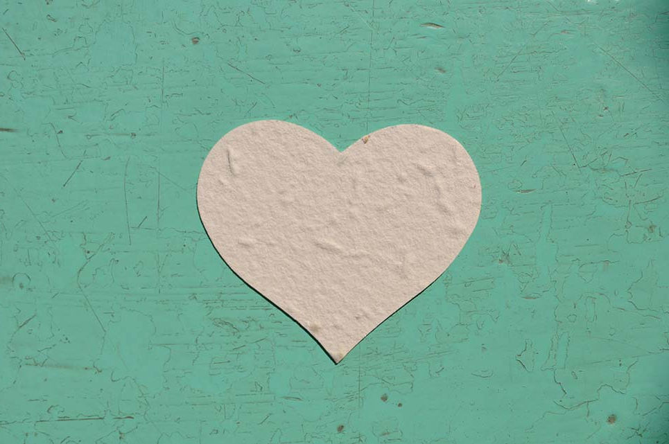 Thumbnail: BOX C3 Cuore Piantabile di varie misure in Carta che Germoglia