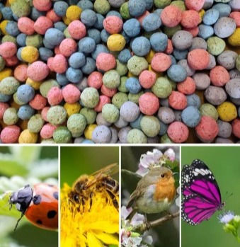 BOMBE Palline Piantabili di colori misti per API FARFALLE COCCINELLE UCCELLI