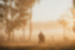 DSCF0049.jpg