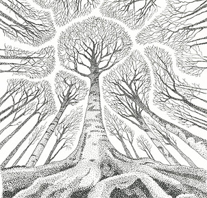 AL Crown Shyness 7 X 7  FINAL C_HP 11323.jpg