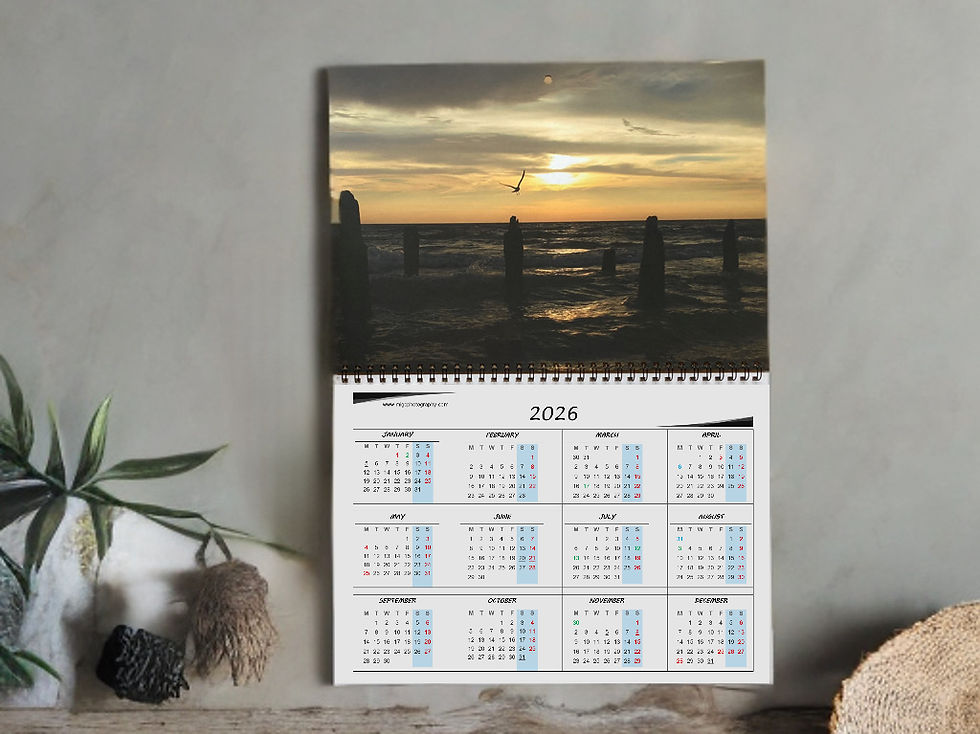 Thumbnail: 2026 wall calendar with a sunset picture, flying away bird, MigCPhotography.