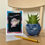 Thumbnail: Personalised Birthday Card With Tulip Photo On It