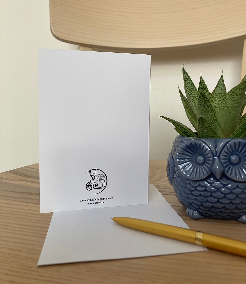 Thumbnail: The back of Get well soon A6 greeting card showing logo and website info next to flower pot, envelope and golden pen on the chair