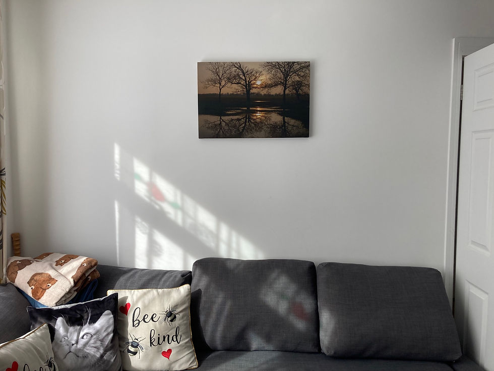Thumbnail: Sunset canvas print on wall photographed from the front of the room, bee kind pillow