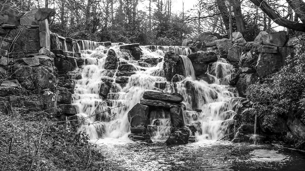 Virginia Waterfall surrounded by trees at Windsor Great Park, black-and-white photo.