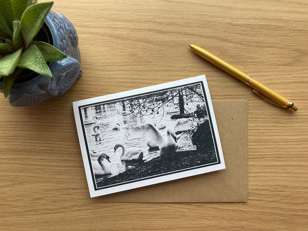 Thumbnail: Personalised any occasion black and white photo of swans in the river greeting card on the desk at an angle