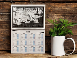 Large Wall Calendar Featuring Black and White Photograph of Swans in a River
