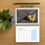 Thumbnail: A6 Design calendar displays January 2026 with a photo and a pencil on wooden table.