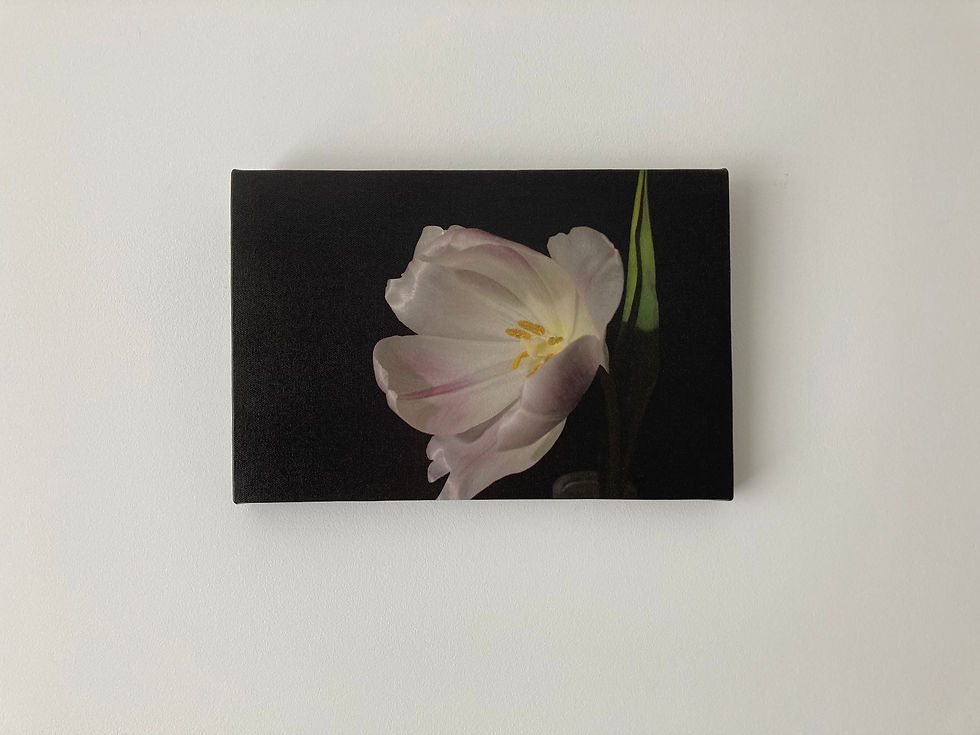 Thumbnail: A close-up photograph of a canvas print featuring a photo of a tulip displayed on a wall.