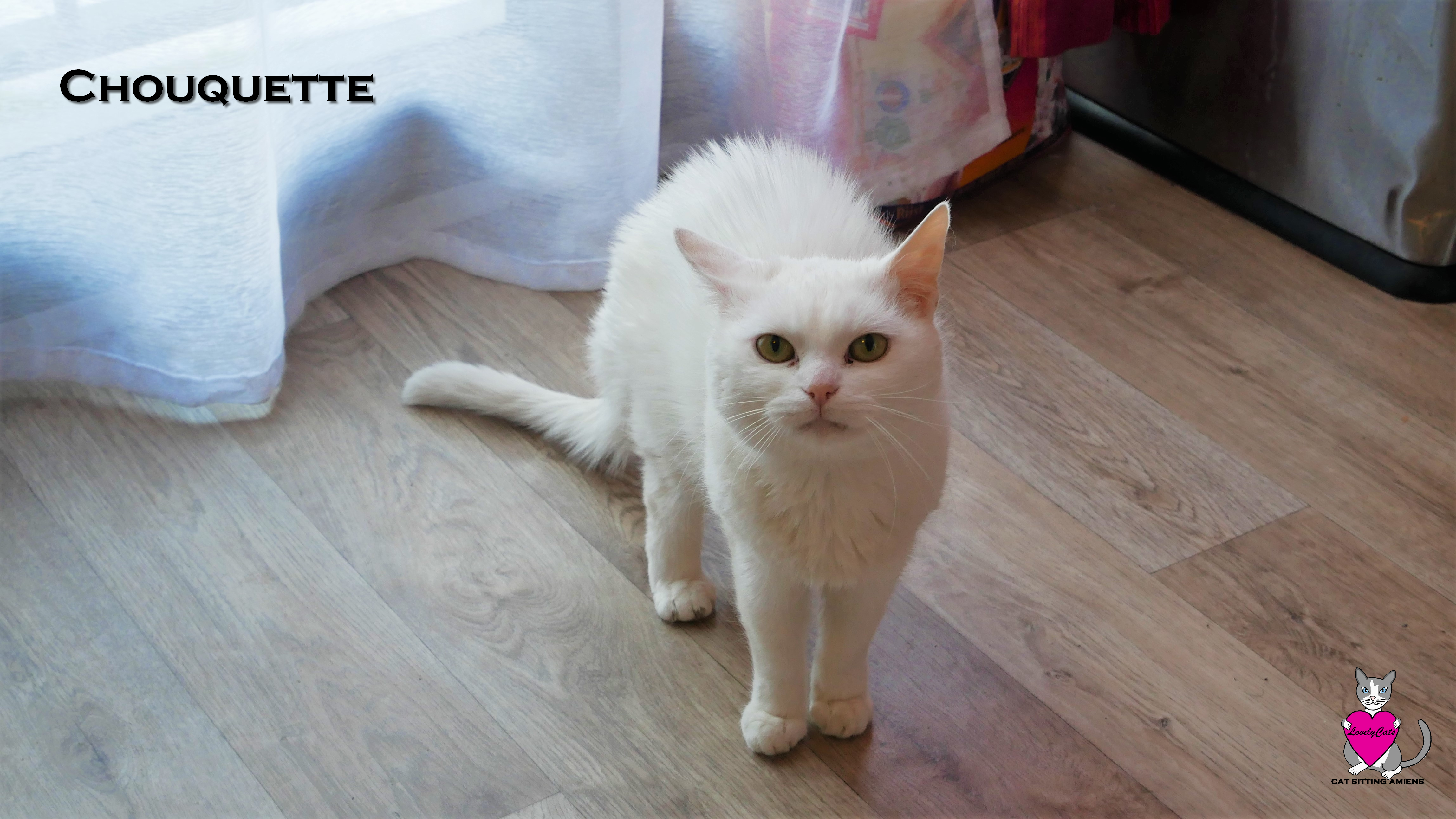 Chouquette