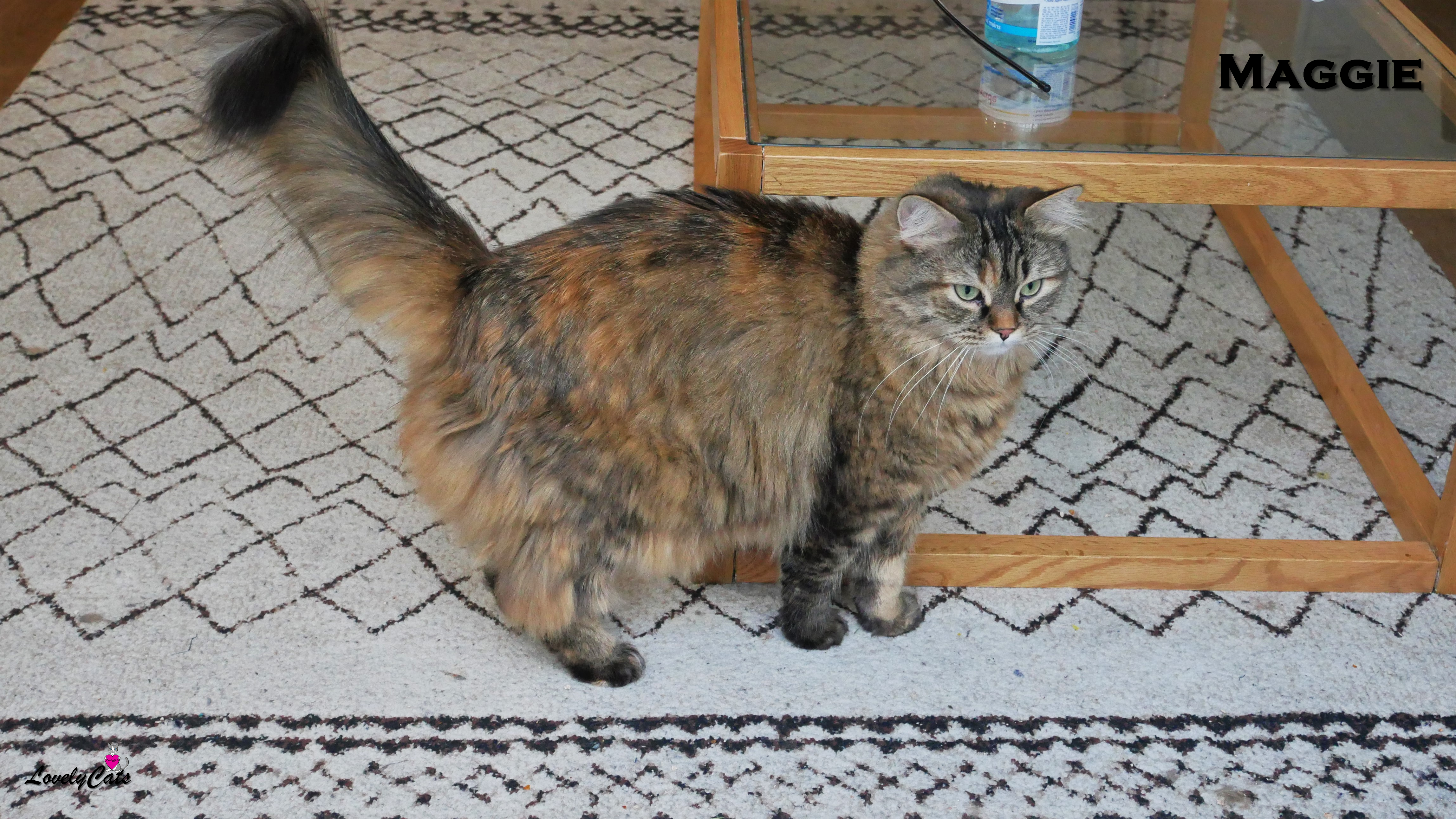Maggie