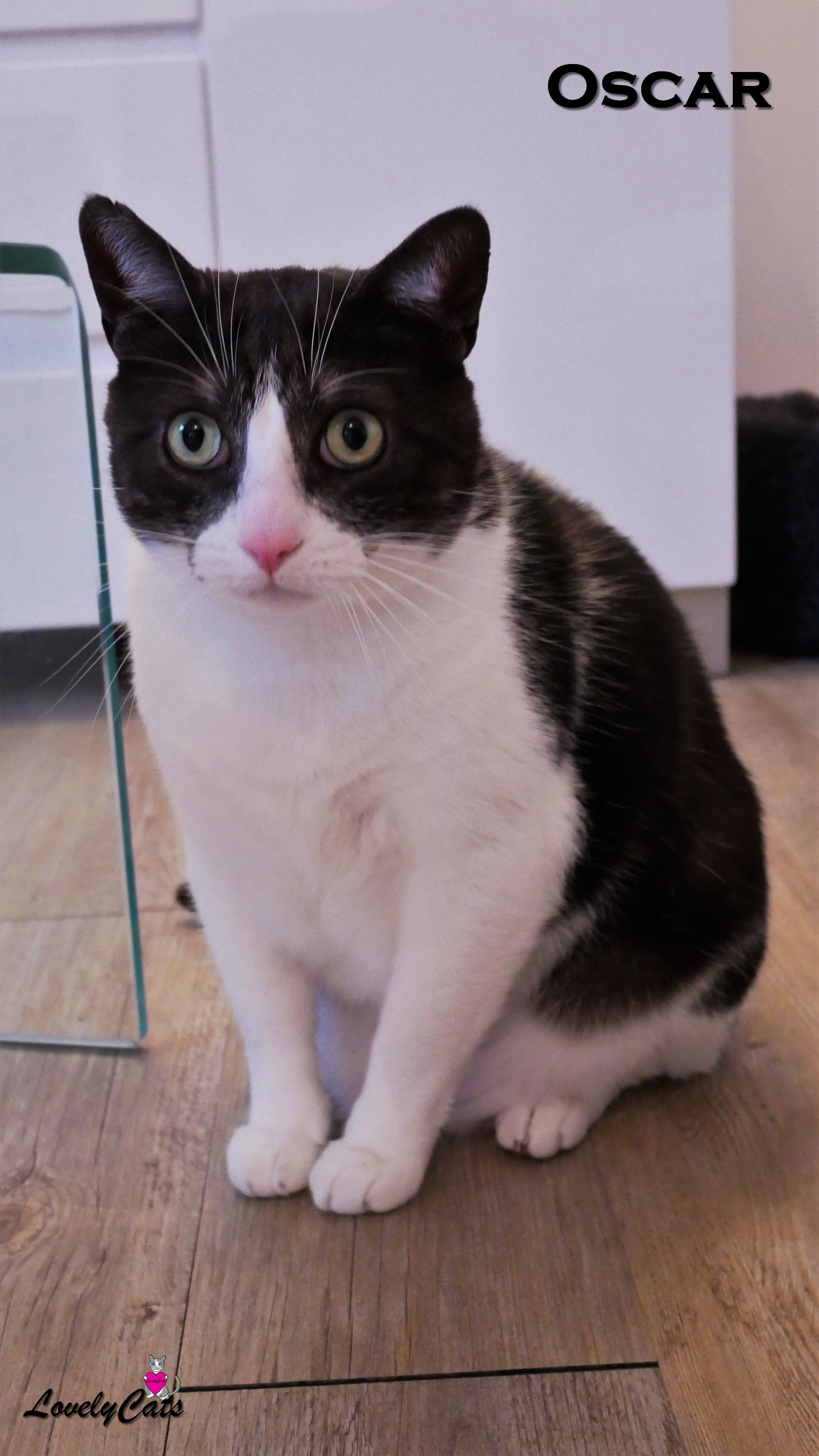 Oscar